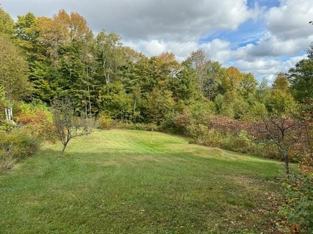 133 Ben Dexter Rd, Topsham, VT 05076 - view of green lawn with a view of trees