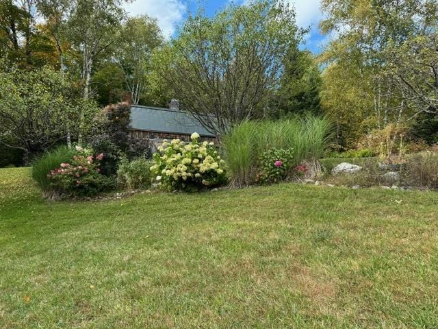 133 Ben Dexter Rd, Topsham, VT 05076 - view of green lawn