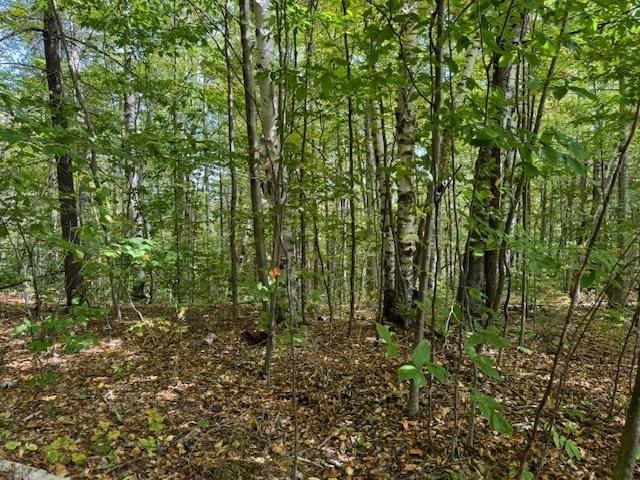 133 Ben Dexter Rd, Topsham, VT 05076 - view of tree filled area