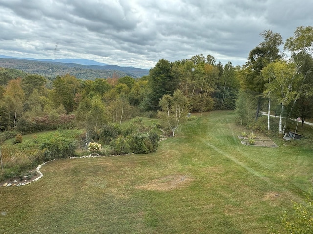 133 Ben Dexter Rd, Topsham, VT 05076 - view of green lawn with a wooded view