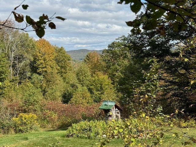 133 Ben Dexter Rd, Topsham, VT 05076 - view of mountain backdrop featuring a forest