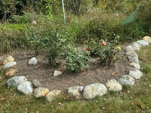 133 Ben Dexter Rd, Topsham, VT 05076 - exterior view