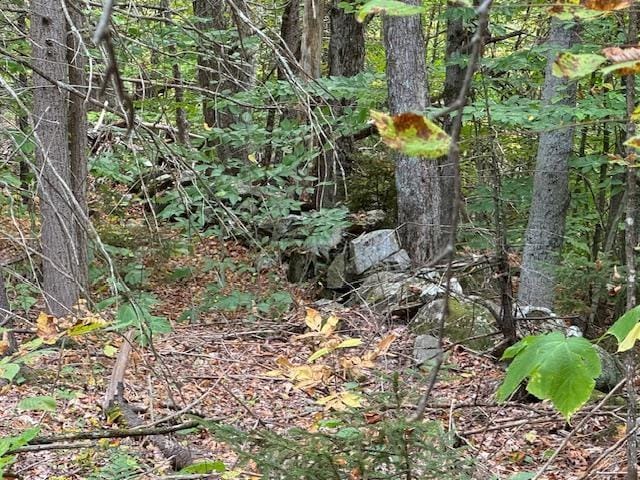 133 Ben Dexter Rd, Topsham, VT 05076 - view of nature