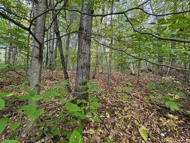 133 Ben Dexter Rd, Topsham, VT 05076 - view of woods