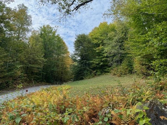 133 Ben Dexter Rd, Topsham, VT 05076 - view of yard with a forest view