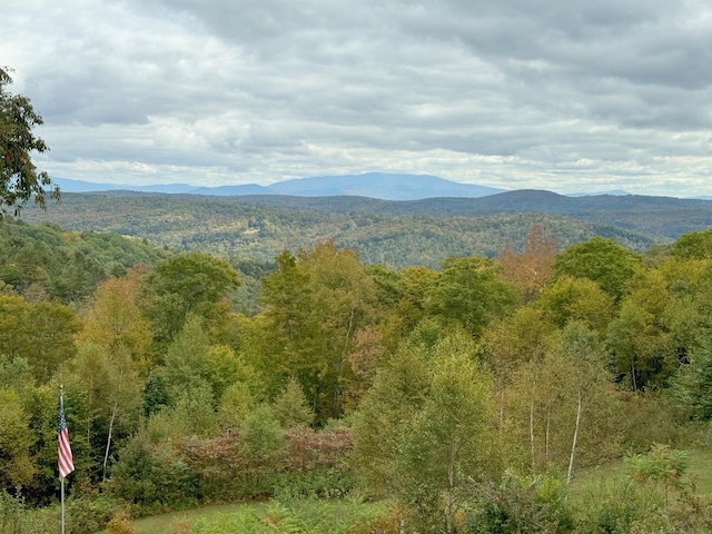 133 Ben Dexter Rd, Topsham, VT 05076 - mountain view with a forest