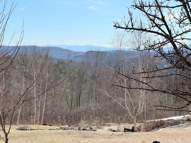 133 Ben Dexter Rd, Topsham, VT 05076 - view of mountain backdrop with a heavily wooded area