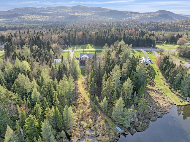 aerial overview of property's location featuring a forest and a water and mountain view