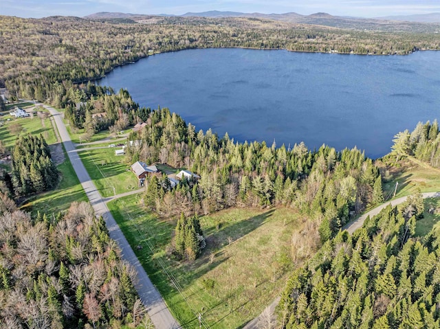 aerial overview of property's location featuring a forest and a nearby body of water