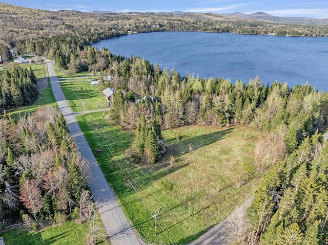aerial overview of property's location featuring a heavily wooded area and a water and mountain view