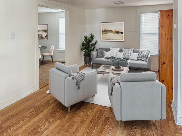 16 Shurtleff Pl, Barre City, VT 05641 - living room with light wood-type flooring, plenty of natural light, and baseboards