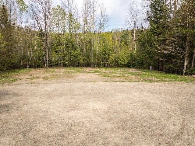 42 Chickadee Ln, Littleton, NH 03561 - view of yard with a forest view