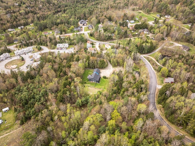 42 Chickadee Ln, Littleton, NH 03561 - view of property location featuring a forest
