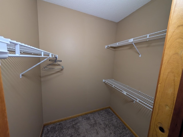 11 Cascade Dr Unit 288, Woodstock, NH 03262 - walk in closet featuring carpet flooring