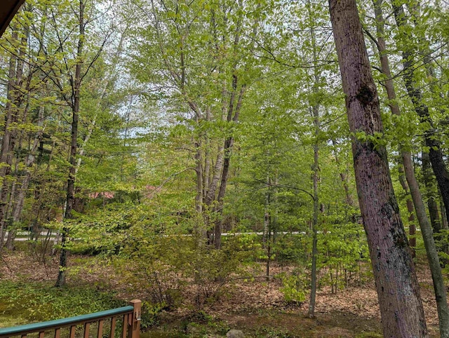 11 Cascade Dr Unit 288, Woodstock, NH 03262 - view of tree filled area