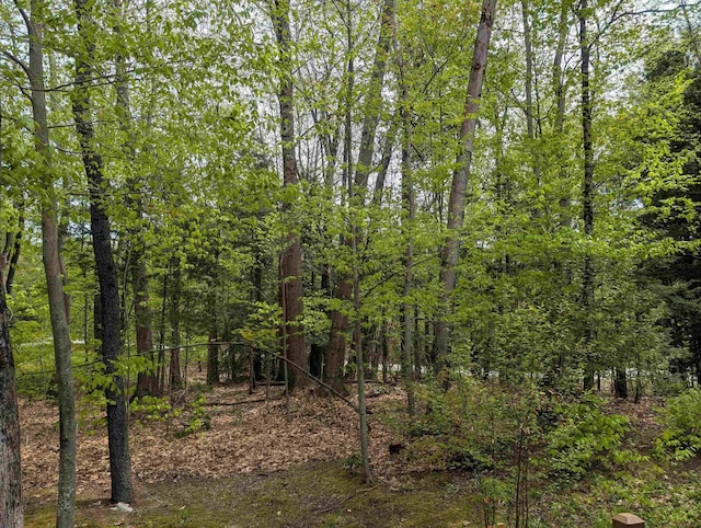 11 Cascade Dr Unit 288, Woodstock, NH 03262 - view of wooded area
