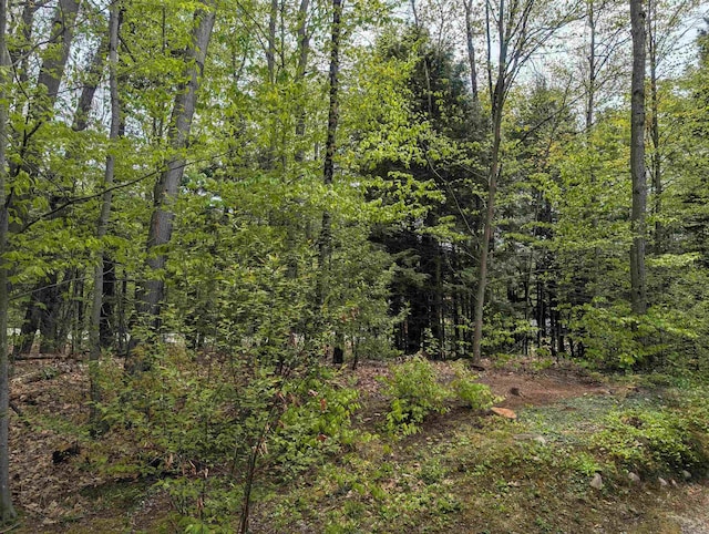 11 Cascade Dr Unit 288, Woodstock, NH 03262 - view of woods