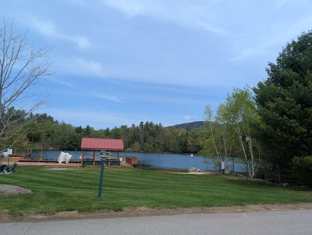 11 Cascade Dr Unit 288, Woodstock, NH 03262 - water view with a dock and a forest