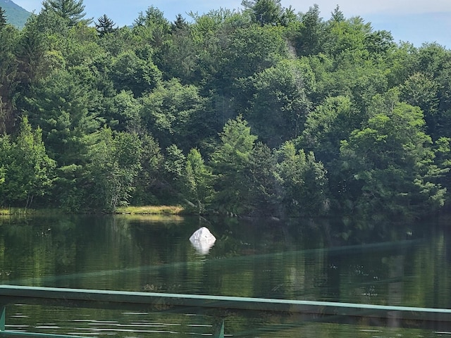 11 Cascade Dr Unit 288, Woodstock, NH 03262 - water view featuring a heavily wooded area