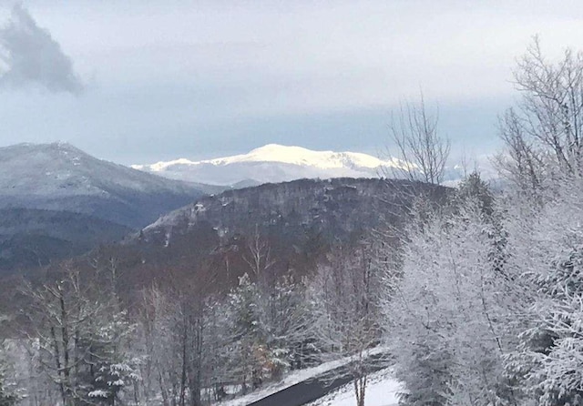 42 Peak Vista Ln, Madison, NH 03849 - mountain view