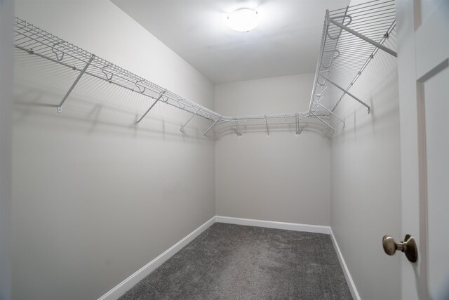 21 Lovering Rd, North Hampton, NH 03862 - walk in closet featuring dark colored carpet