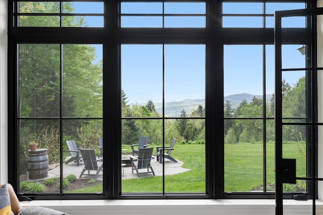 detailed view of a mountain view
