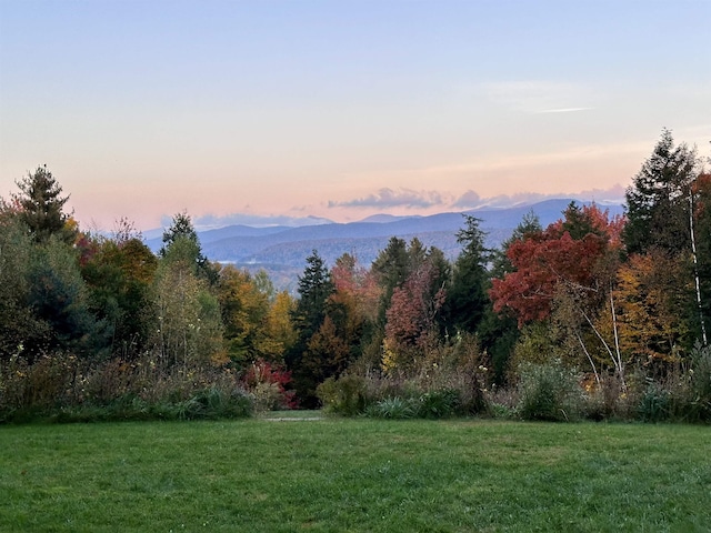 view of grassy yard with a mountain view and a forest view