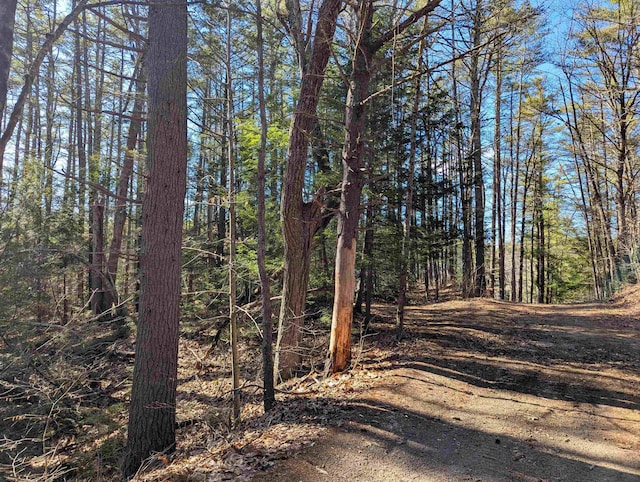 Old Chester Tpke, Chester, NH 03036