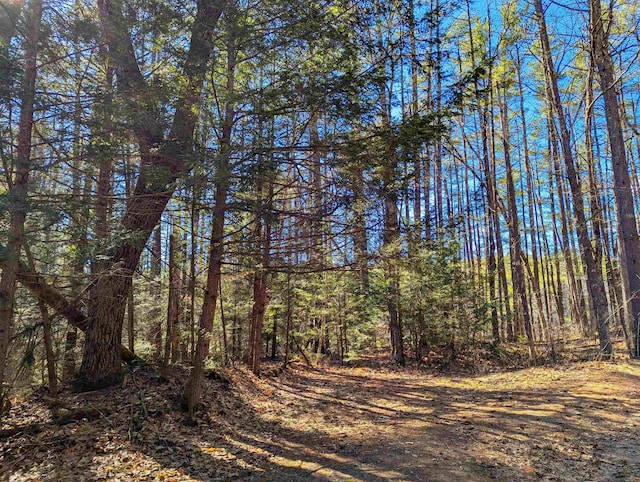 Old Chester Tpke, Chester, NH 03036