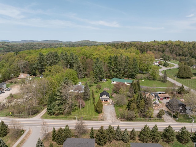 bird's eye view of a heavily wooded area