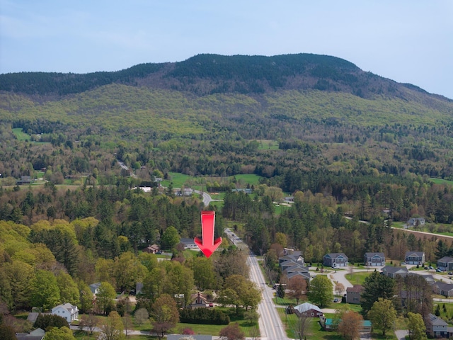 aerial view of a heavily wooded area and a mountain backdrop