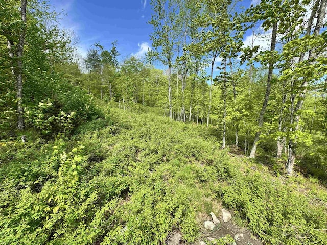 1822 Monroe Rd, Littleton, NH 03561