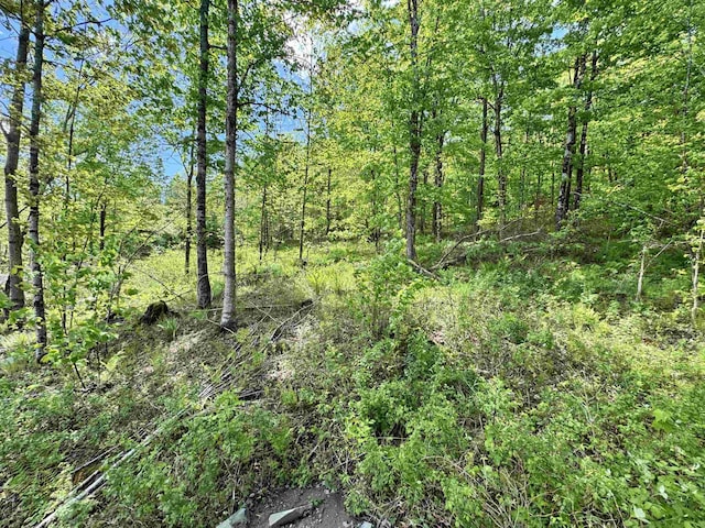 1822 Monroe Rd, Littleton, NH 03561