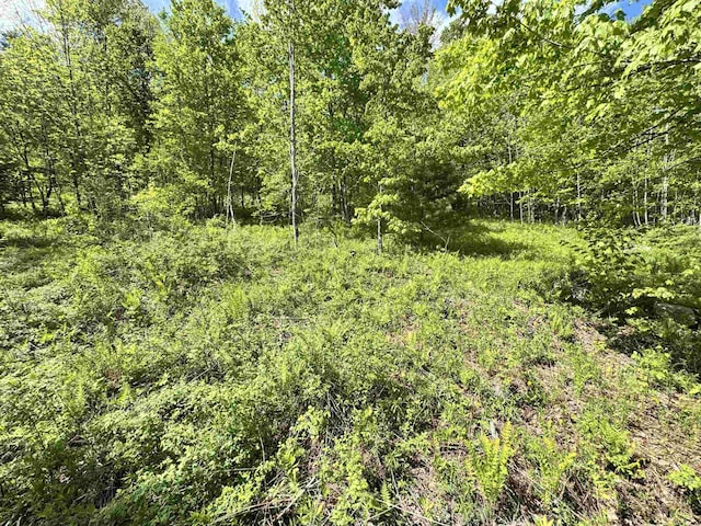 1822 Monroe Rd, Littleton, NH 03561