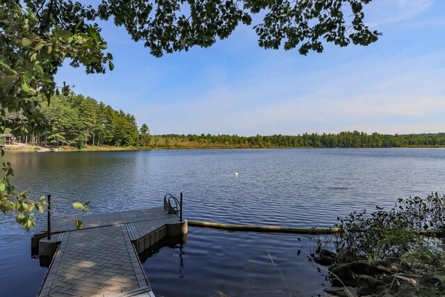111 Shore Dr, Henniker, NH 03242 - dock area with a water view and a view of trees