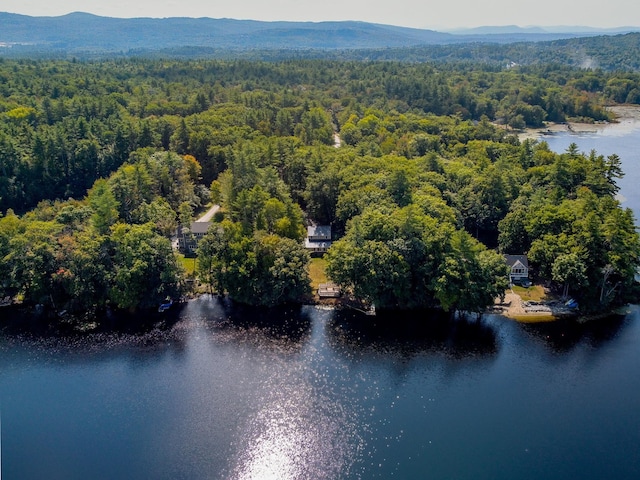 111 Shore Dr, Henniker, NH 03242 - bird's eye view of a heavily wooded area and a water and mountain view