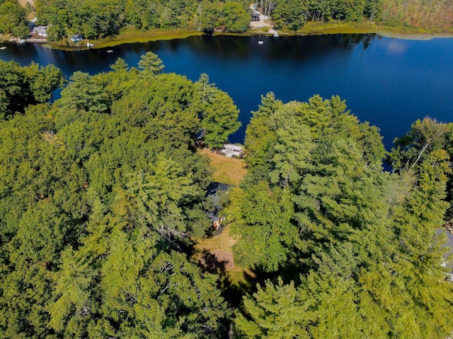 111 Shore Dr, Henniker, NH 03242 - bird's eye view of a heavily wooded area and a nearby body of water