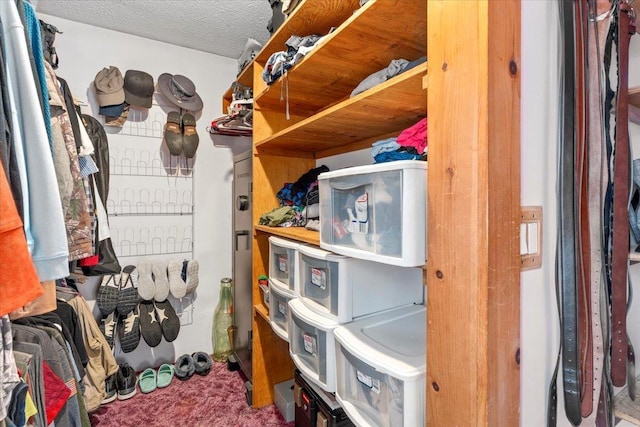 8 Bowman Ct, Merrimack, NH 03054 - walk in closet with carpet floors
