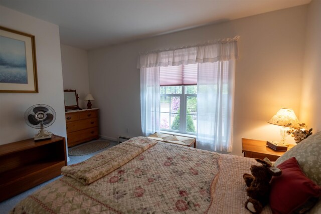 334 Silver Pine Ln, Tamworth, NH 03886 - bedroom with baseboard heating
