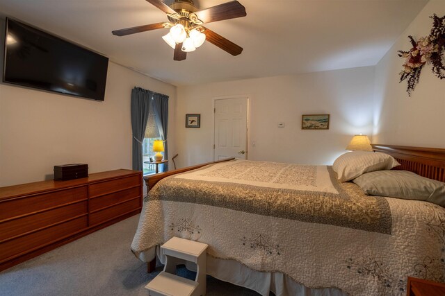 334 Silver Pine Ln, Tamworth, NH 03886 - bedroom with carpet flooring and ceiling fan