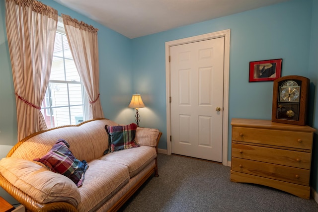 334 Silver Pine Ln, Tamworth, NH 03886 - living area with carpet floors