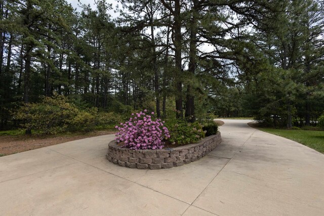 334 Silver Pine Ln, Tamworth, NH 03886 - view of home's community
