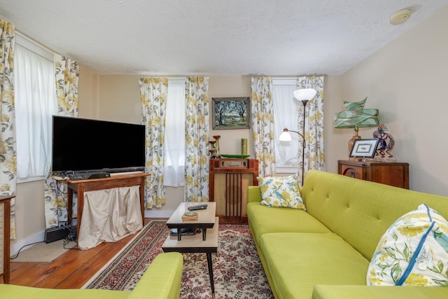 33 Tanner St, Concord, NH 03303 - living area featuring wood finished floors and a textured ceiling
