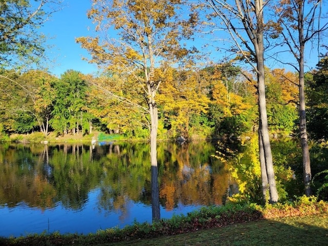 33 Tanner St, Concord, NH 03303 - water view with a forest