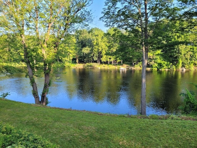 33 Tanner St, Concord, NH 03303 - water view