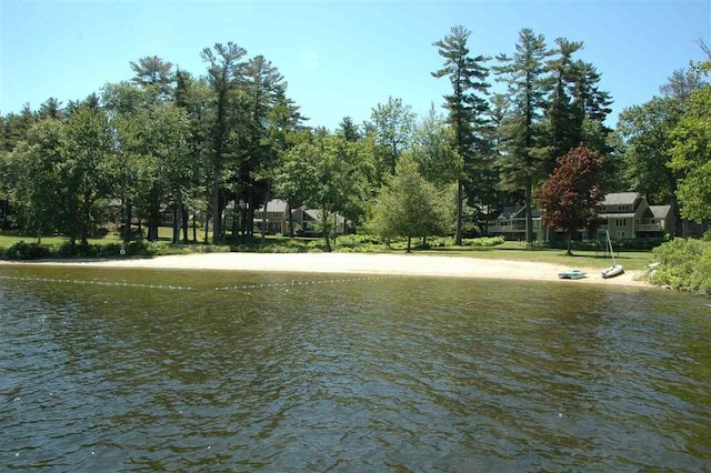 46 Point Breeze Rd, Wolfeboro, NH 03894 - water view featuring a tree filled landscape