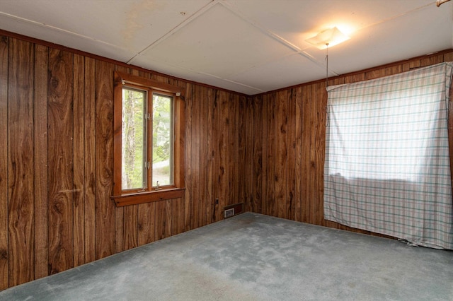143 Okemo Acres, Ludlow, VT 05149 - carpeted spare room with wooden walls