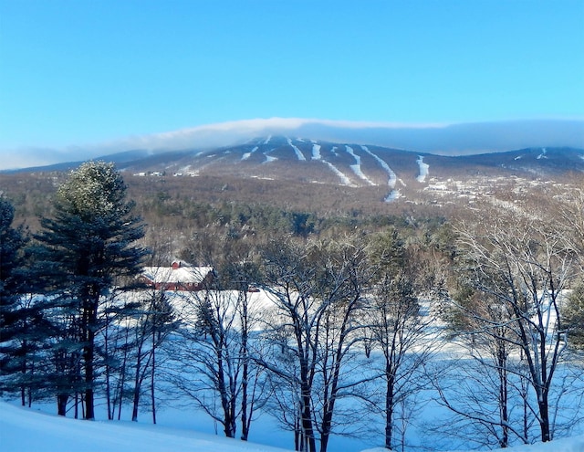 143 Okemo Acres, Ludlow, VT 05149 - mountain view featuring a heavily wooded area