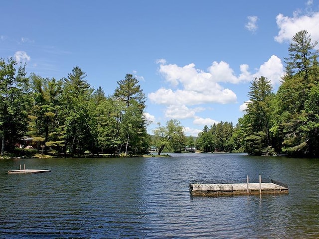 143 Okemo Acres, Ludlow, VT 05149 - dock with a water view