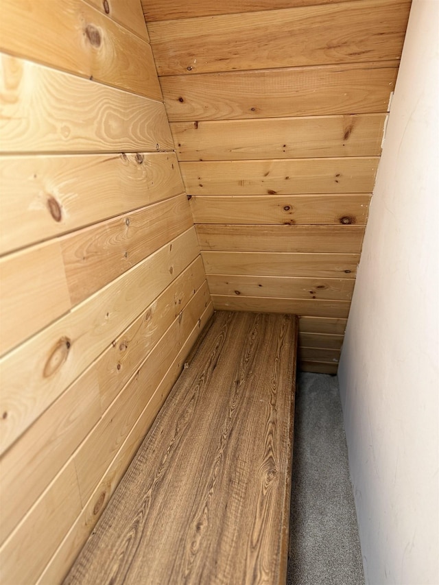 9 Spruce Rd, Middleton, NH 03887 - sauna with carpet flooring